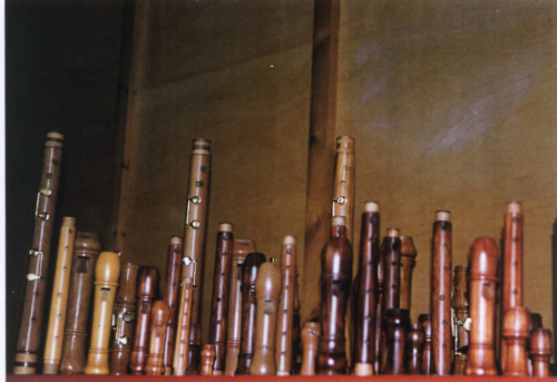 Durchgeführte Seminare